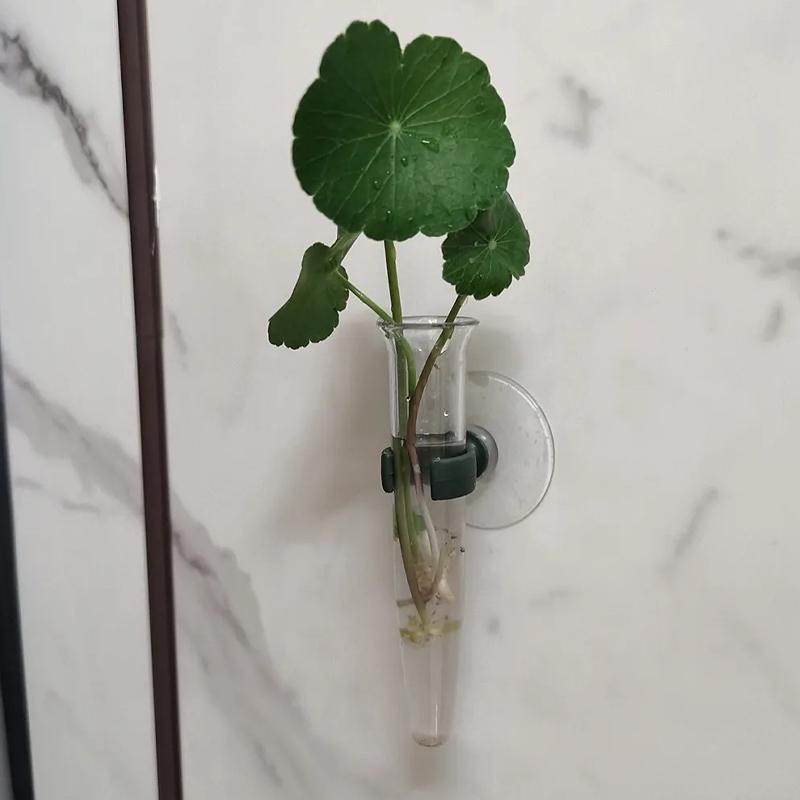 11cmの花用ウォーターチューブ、プラスチック製栄養容器、吸 - Florist Flower Supply のレビューと価格